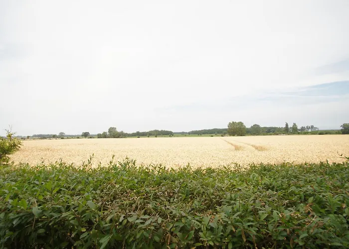 Semesterbostad Flora *